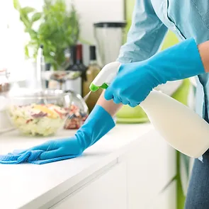 Basic Cleaning Service Setia Alam